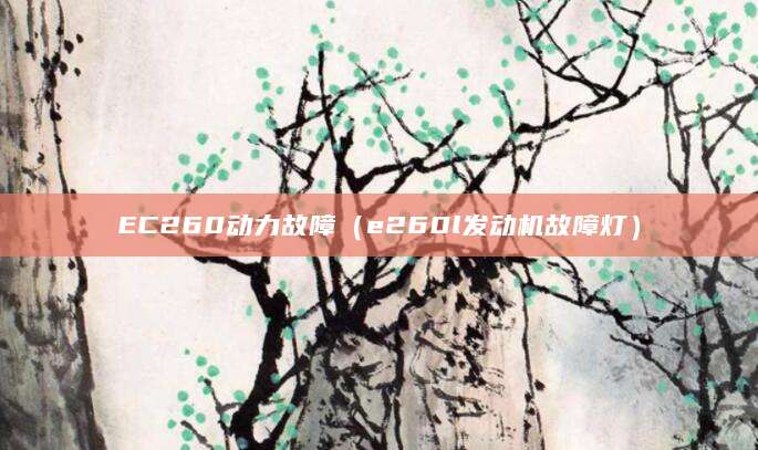 EC260动力故障（e260l发动机故障灯）