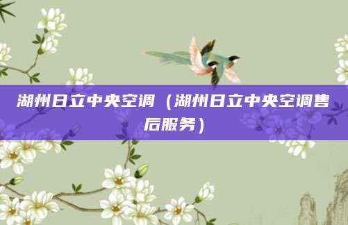 湖州日立中央空调（湖州日立中央空调售后服务）