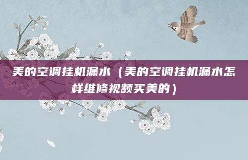 美的空调挂机漏水（美的空调挂机漏水怎样维修视频买美的）