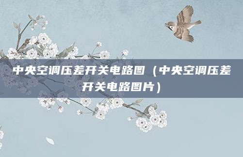中央空调压差开关电路图（中央空调压差开关电路图片）