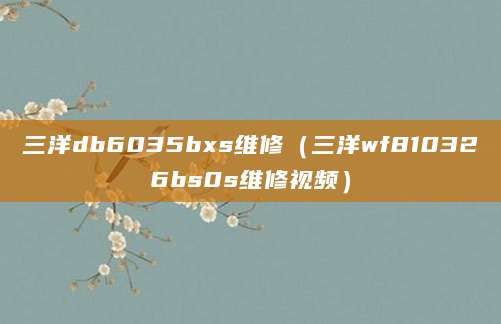 三洋db6035bxs维修（三洋wf810326bs0s维修视频）