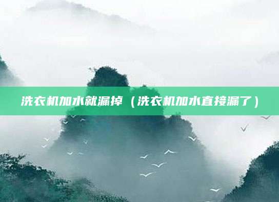 洗衣机加水就漏掉（洗衣机加水直接漏了）
