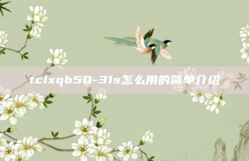 tclxqb50-31s怎么用的简单介绍