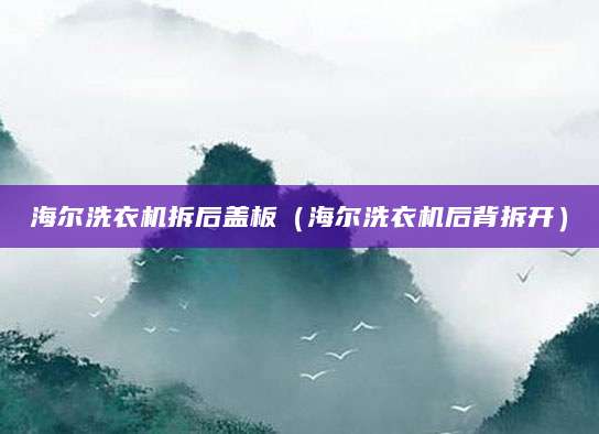 海尔洗衣机拆后盖板（海尔洗衣机后背拆开）