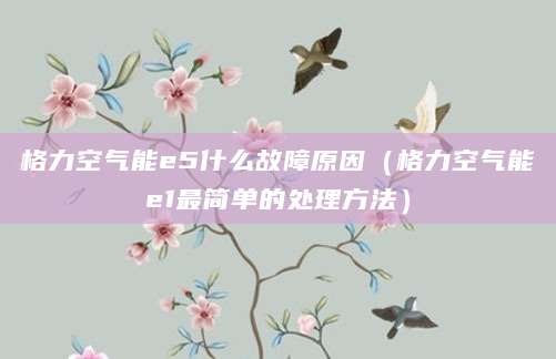 格力空气能e5什么故障原因(格力空气能e1最简单的处理方法)