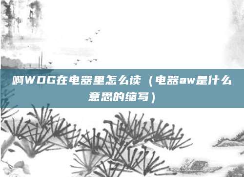 啊WDG在电器里怎么读（电器aw是什么意思的缩写）