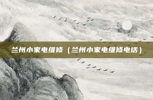 兰州小家电维修（兰州小家电维修电话）
