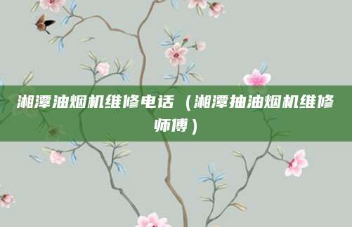 湘潭油烟机维修电话（湘潭抽油烟机维修师傅）