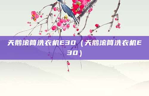 天鹅滚筒洗衣机E30(天鹅滚筒洗衣机E30)