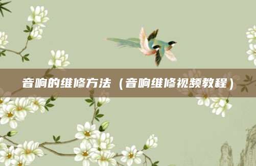 音响的维修方法（音响维修视频教程）
