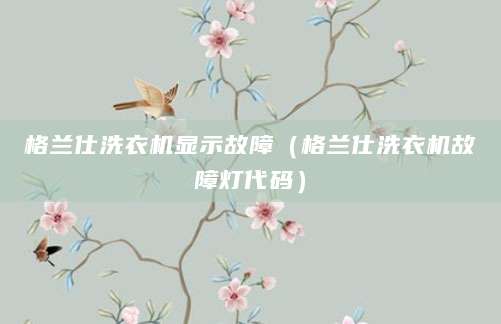 格兰仕洗衣机显示故障（格兰仕洗衣机故障灯代码）