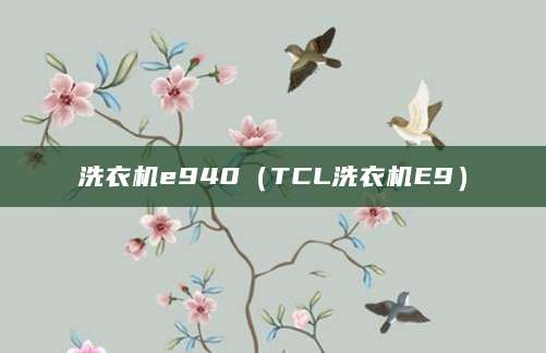 洗衣机e940（TCL洗衣机E9）