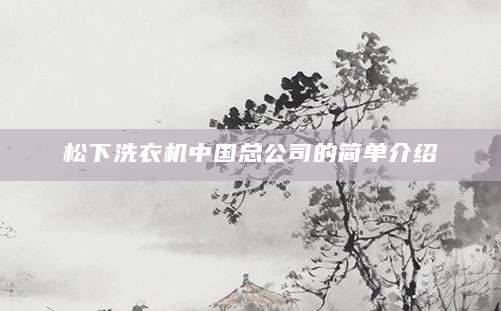 松下洗衣机中国总公司的简单介绍
