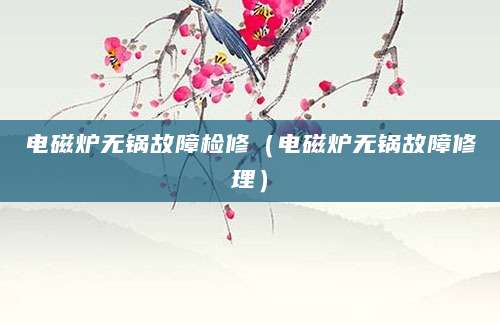 电磁炉无锅故障检修（电磁炉无锅故障修理）
