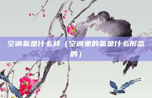空调氟是什么样(空调里的氟是什么形态的)