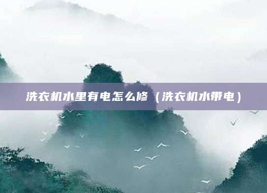洗衣机水里有电怎么修（洗衣机水带电）