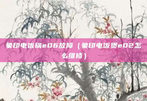象印电饭锅e06故障（象印电饭煲e02怎么维修）