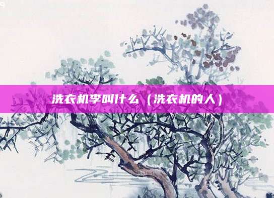 洗衣机李叫什么（洗衣机的人）