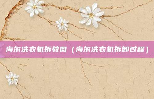 海尔洗衣机拆教图(海尔洗衣机拆卸过程)