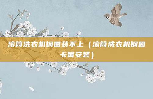 滚筒洗衣机钢圈装不上（滚筒洗衣机钢圈卡簧安装）