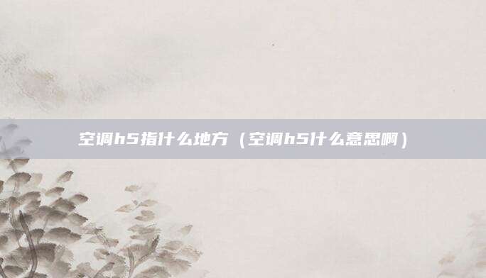空调h5指什么地方（空调h5什么意思啊）