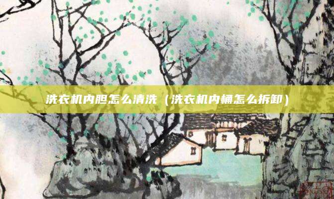 洗衣机内胆怎么清洗（洗衣机内桶怎么拆卸）