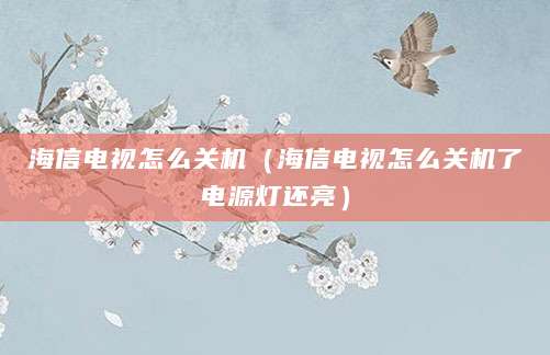 海信电视怎么关机（海信电视怎么关机了电源灯还亮）