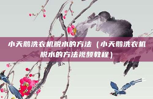 小天鹅洗衣机脱水的方法（小天鹅洗衣机脱水的方法视频教程）