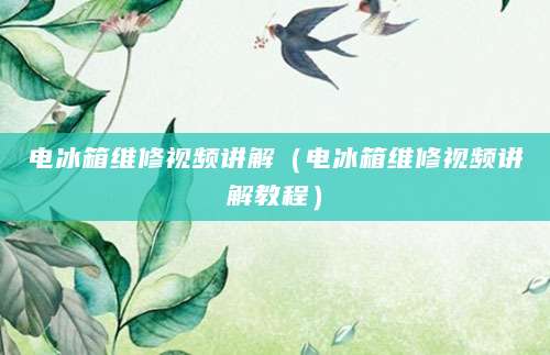 电冰箱维修视频讲解（电冰箱维修视频讲解教程）