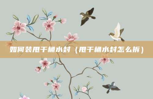 如何装甩干桶水封（甩干桶水封怎么拆）
