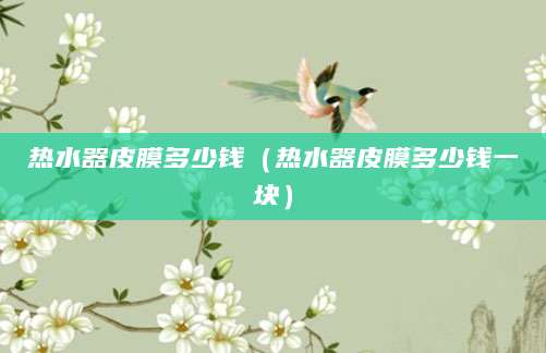 热水器皮膜多少钱（热水器皮膜多少钱一块）