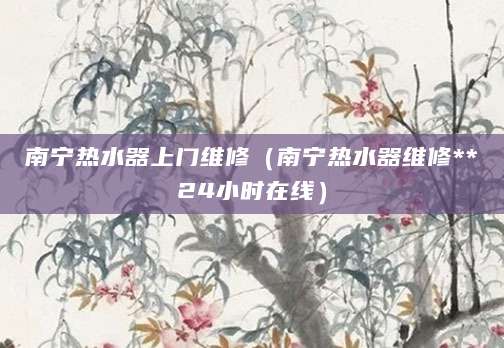 南宁热水器上门维修（南宁热水器维修**24小时在线）