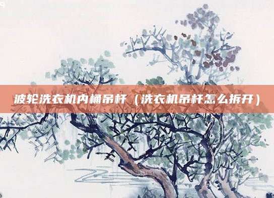波轮洗衣机内桶吊杆（洗衣机吊杆怎么拆开）