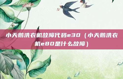 小天鹅洗衣机故障代码e30（小天鹅洗衣机e80是什么故障）