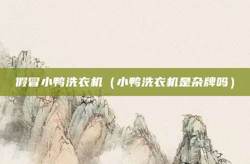 假冒小鸭洗衣机（小鸭洗衣机是杂牌吗）