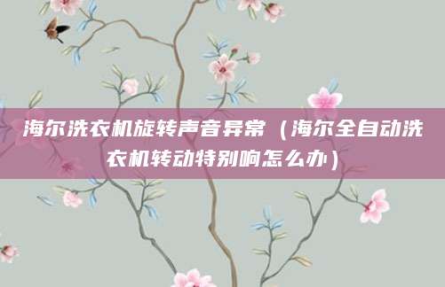 海尔洗衣机旋转声音异常（海尔全自动洗衣机转动特别响怎么办）