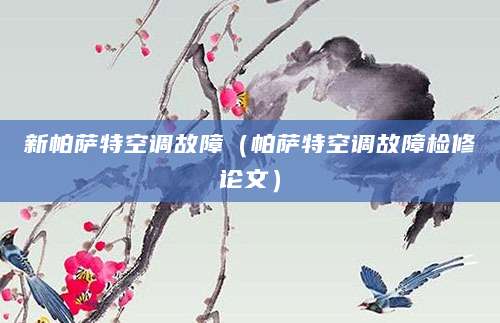 新帕萨特空调故障（帕萨特空调故障检修论文）