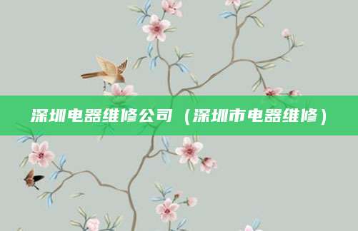 深圳电器维修公司（深圳市电器维修）