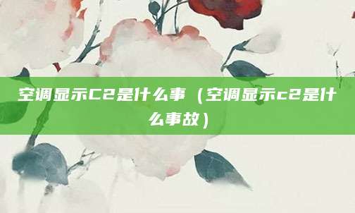 空调显示C2是什么事(空调显示c2是什么事故)
