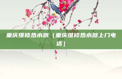 重庆维修热水器（重庆维修热水器上门电话）