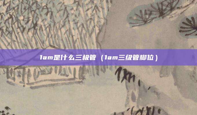 1am是什么三极管（1am三级管脚位）