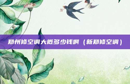 郑州修空调大概多少钱啊（新郑修空调）