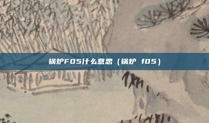 锅炉F05什么意思（锅炉 f05）