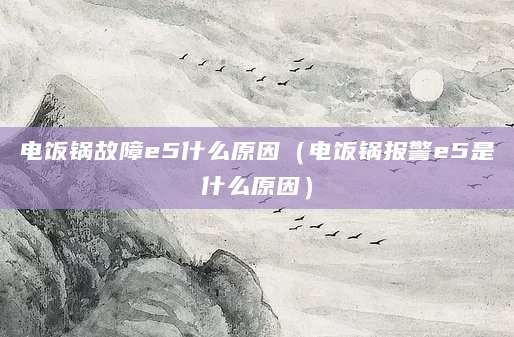电饭锅故障e5什么原因（电饭锅报警e5是什么原因）