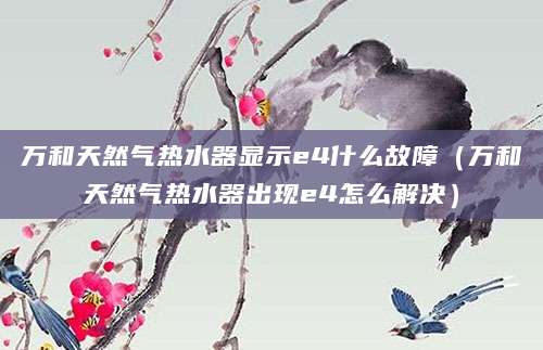 万和天然气热水器显示e4什么故障（万和天然气热水器出现e4怎么解决）