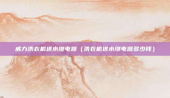 威力洗衣机进水继电器（洗衣机进水继电器多少钱）