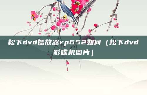 松下dvd播放器rp652如何（松下dvd影碟机图片）