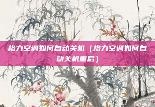 格力空调如何自动关机（格力空调如何自动关机重启）