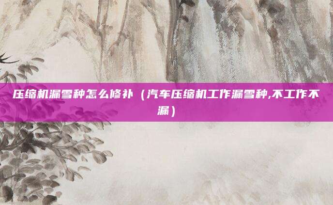 压缩机漏雪种怎么修补（汽车压缩机工作漏雪种,不工作不漏）