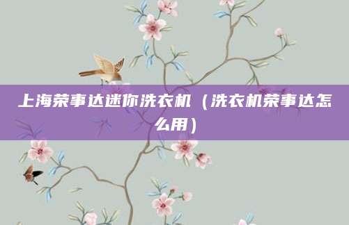 上海荣事达迷你洗衣机（洗衣机荣事达怎么用）